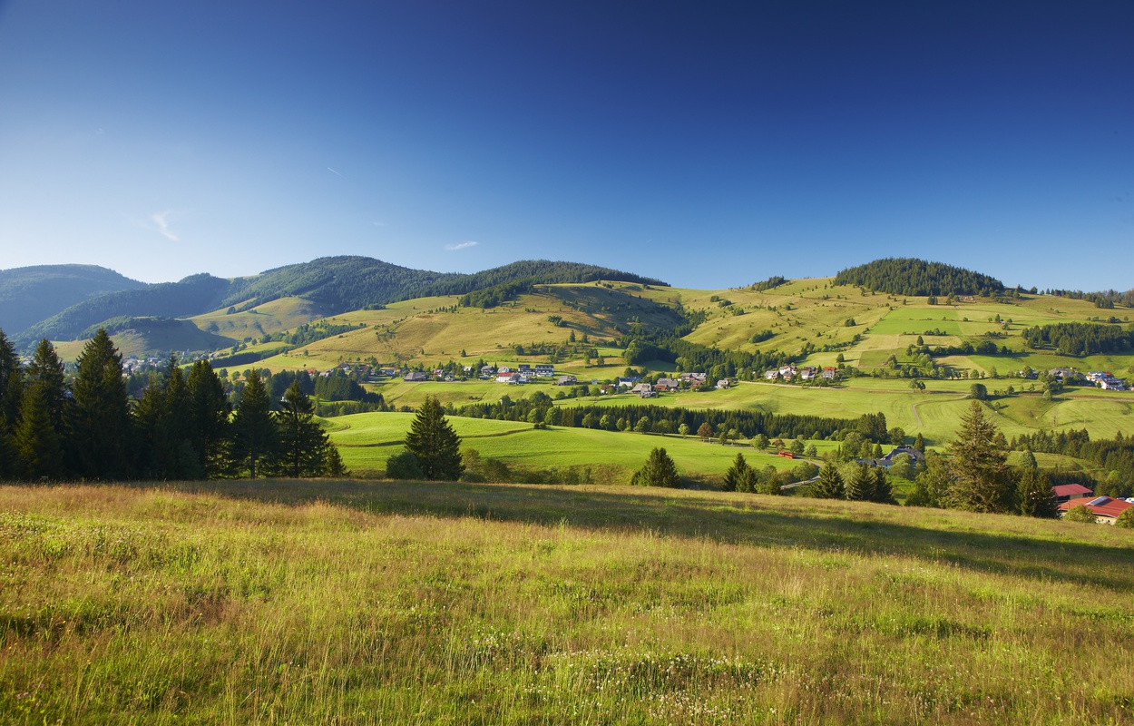 Bernau im Schwarzwald - Panoramablick vom Schwendele zu Riggenbach (c) Tourist Info