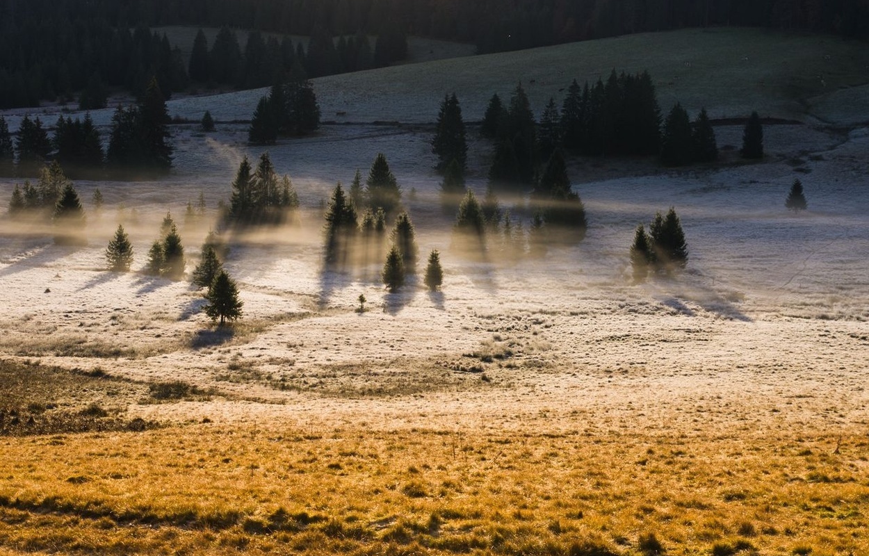 Bernau im Schwarzwald - Herbstlandschaft Talgrund leichte Nebelschwaden [c] Tourist Info