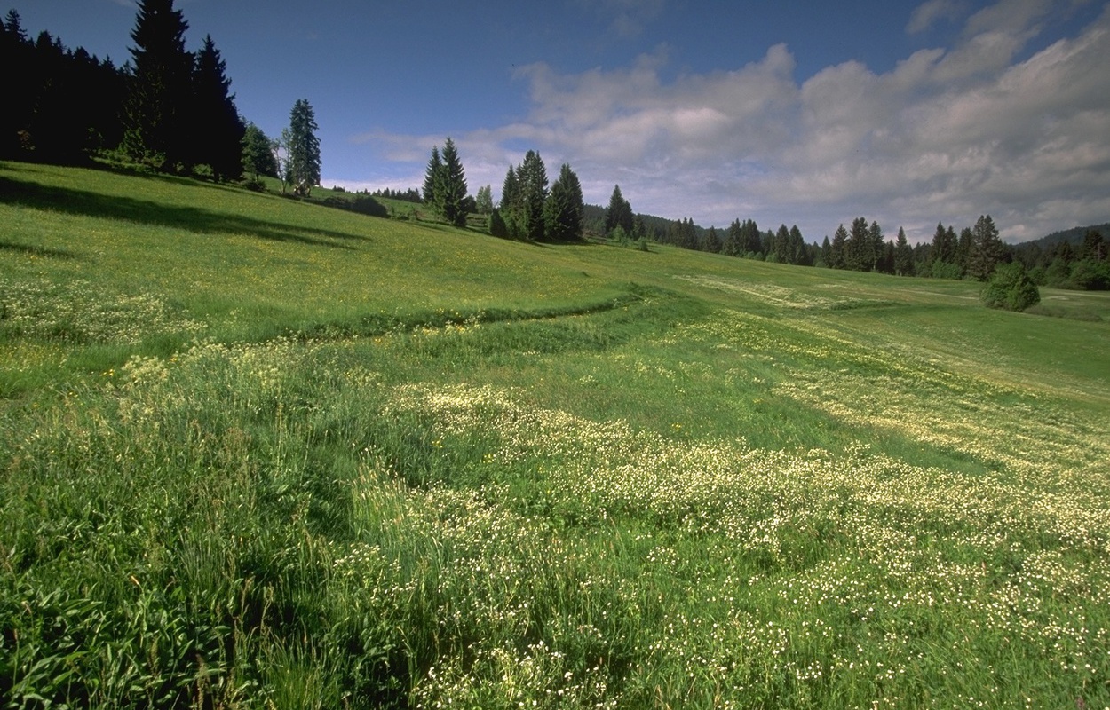 Gewerbe In Bernau Im Schwarzwald