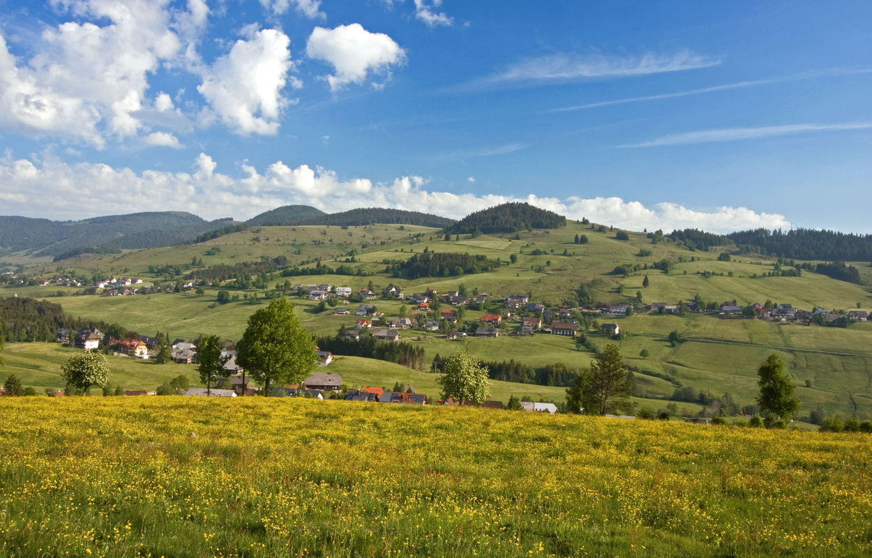 Bernau im Schwarzwald - Blick auf den Kaiserberg (c) Tourist Info